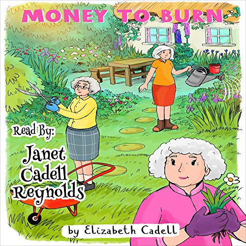 Cover of Money to Burn