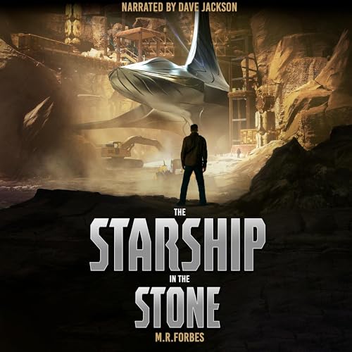 Cover of The Starship in the Stone