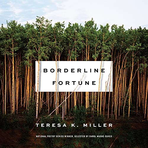 Cover of Borderline Fortune