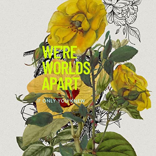 Cover of We're Worlds Apart