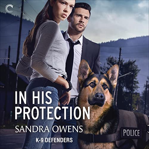 Cover of In His Protection