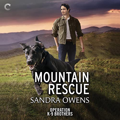 Cover of Mountain Rescue