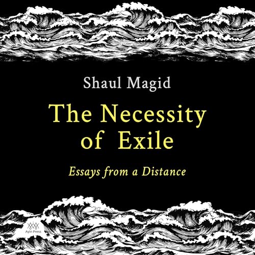 Cover of The Necessity of Exile
