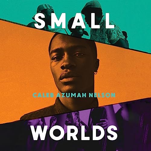 Cover of Small Worlds