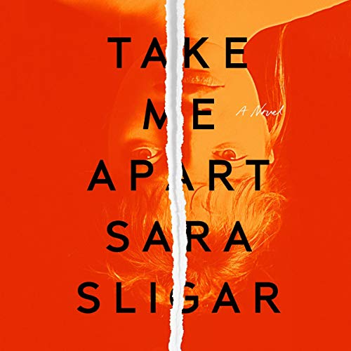 Cover of Take Me Apart