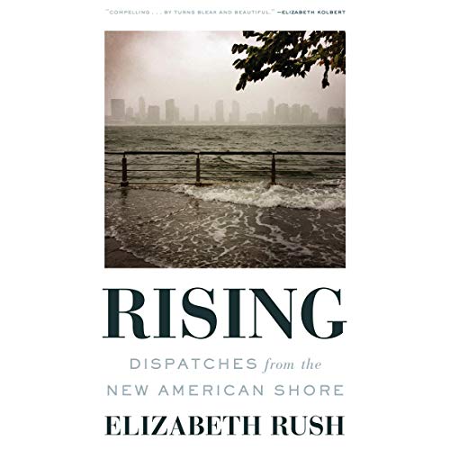Cover of Rising