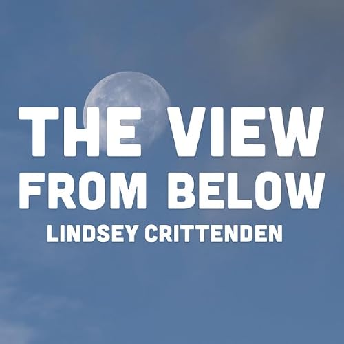 Cover of The View from Below