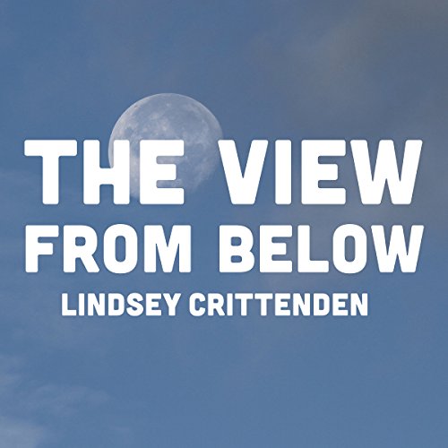 Cover of The View from Below