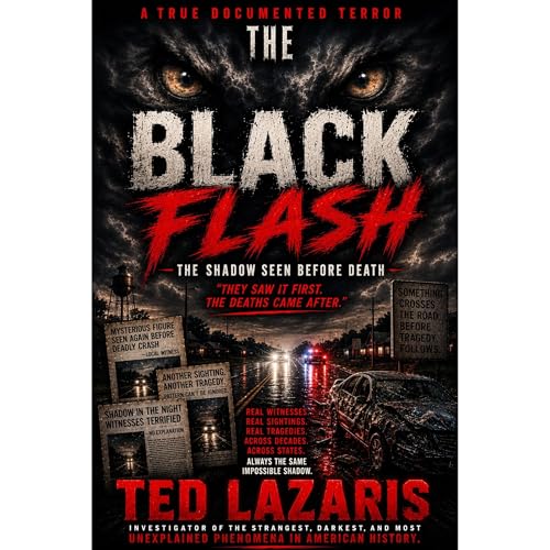 Cover of THE BLACK FLASH