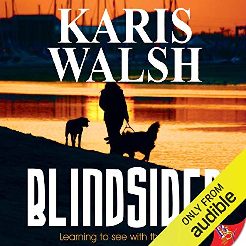 Cover of Blindsided