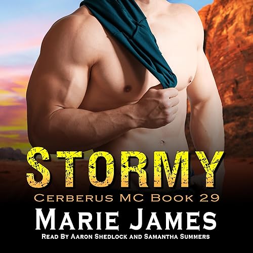Cover of Stormy