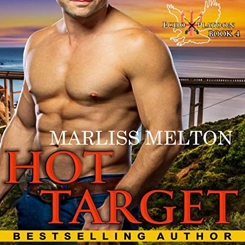 Cover of Hot Target