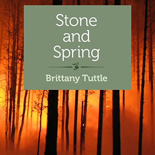 Cover of Stone and Spring