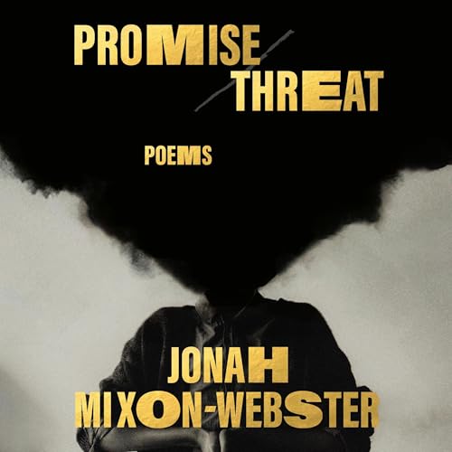Cover of Promise/Threat