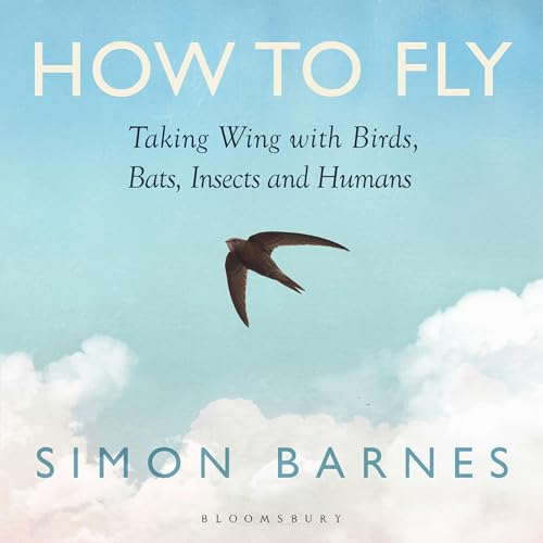 Cover of How to Fly