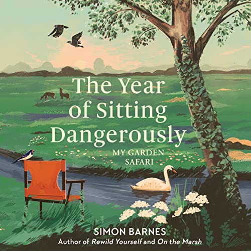 Cover of The Year of Sitting Dangerously