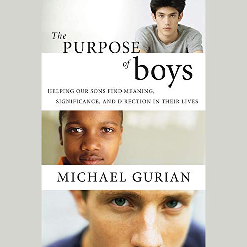 Cover of The Purpose of Boys