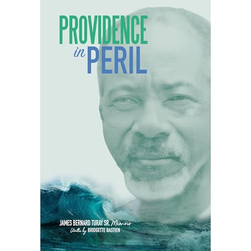Cover of PROVIDENCE IN PERIL