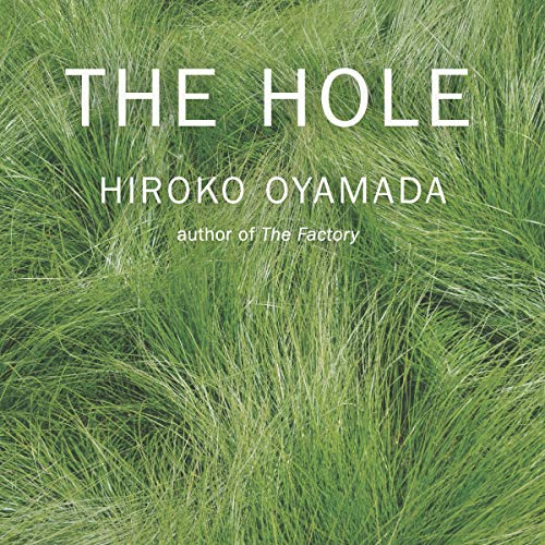 Cover of The Hole