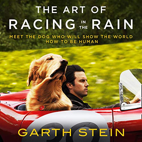 Cover of The Art of Racing in the Rain