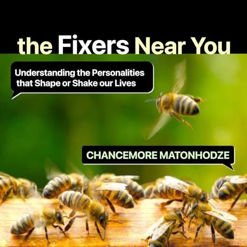 Cover of The Fixers Near You