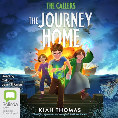 Cover of The Journey Home