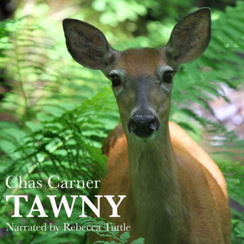 Cover of Tawny