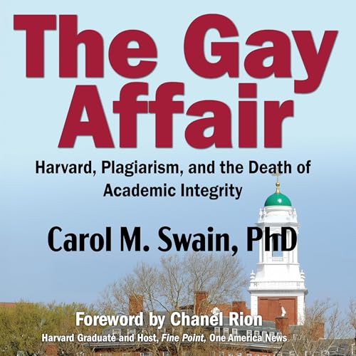 Cover of The Gay Affair