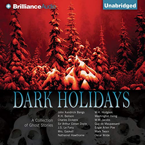 Cover of Dark Holidays