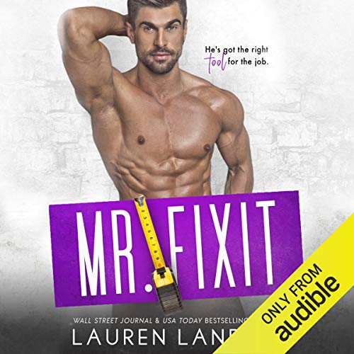 Cover of Mr. Fixit