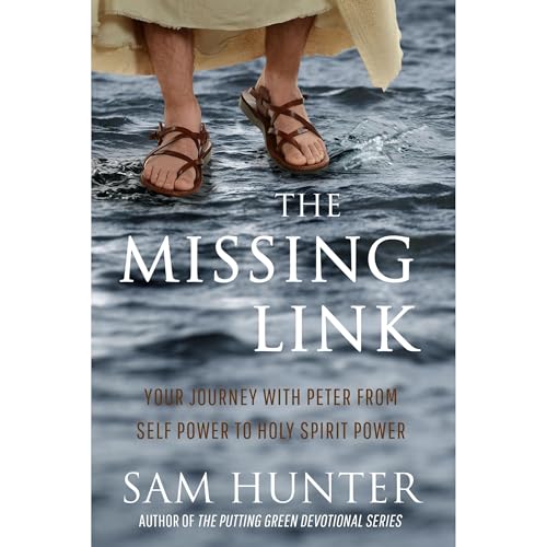 Cover of The Missing Link