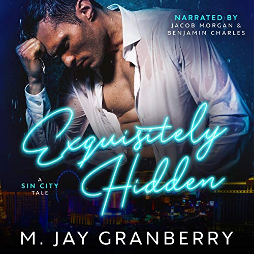 Cover of Exquisitely Hidden