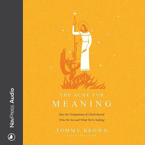 Cover of The Ache for Meaning