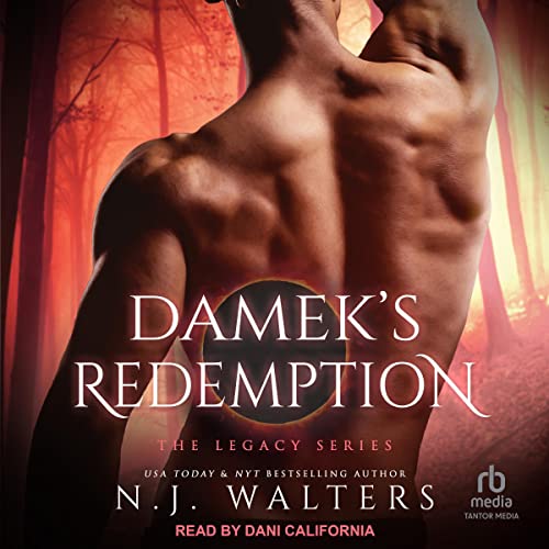 Cover of Damek’s Redemption