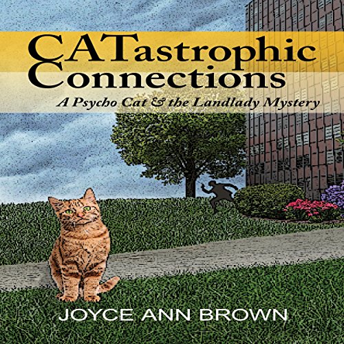 Cover of CATastrophic Connections