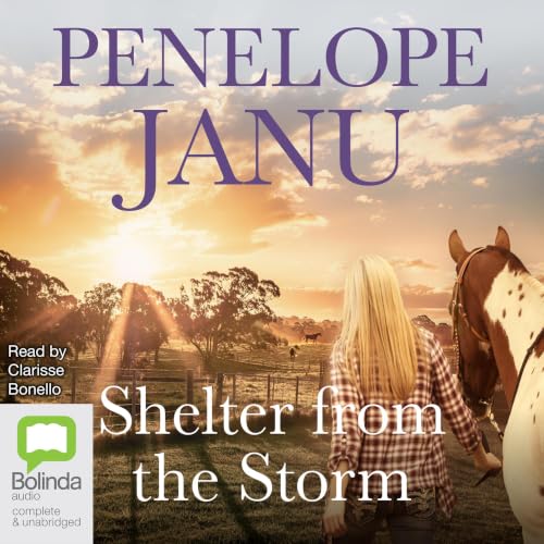 Cover of Shelter from the Storm