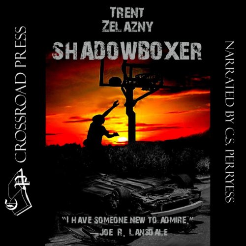 Cover of Shadowboxer