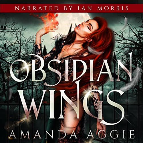 Cover of Obsidian Wings