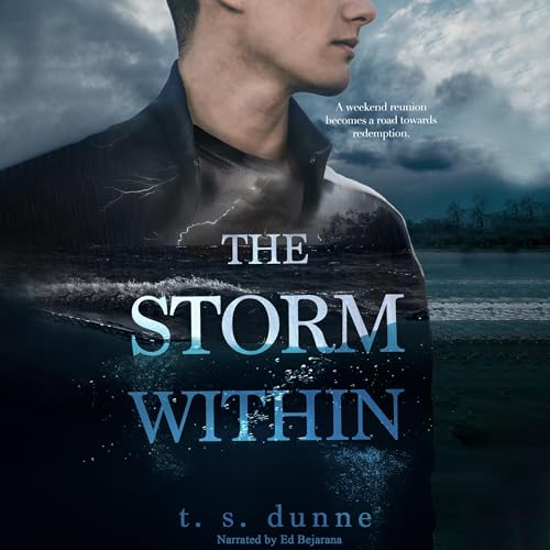 Cover of The Storm Within