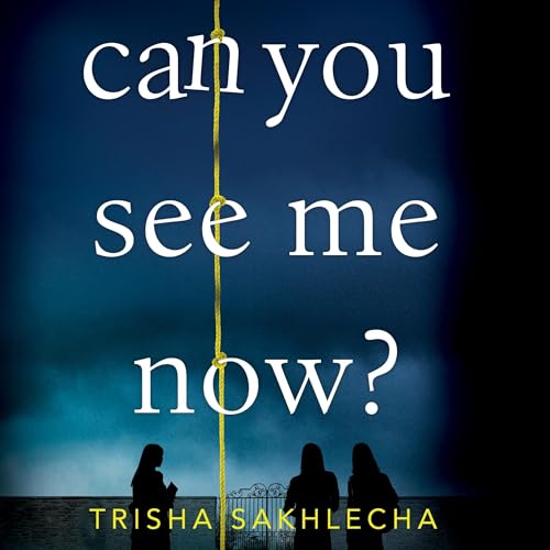 Cover of Can You See Me Now?