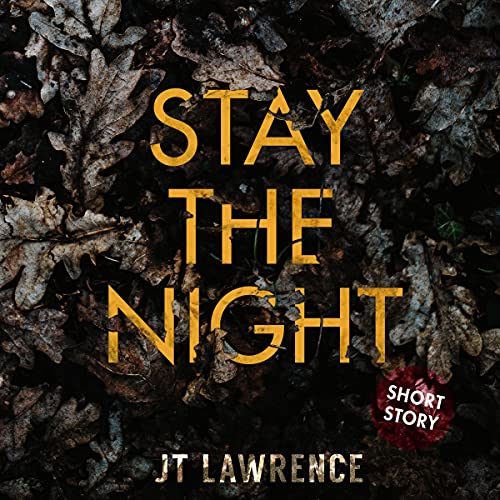 Cover of Stay the Night