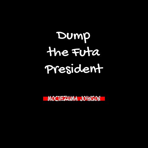 Cover of Dump the Futa President: Making America Great Again, Holmes