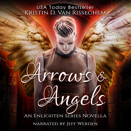 Cover of Arrows & Angels