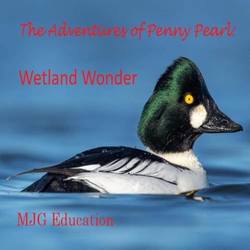 Cover of Wetland Wonder