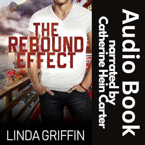 Cover of The Rebound Effect