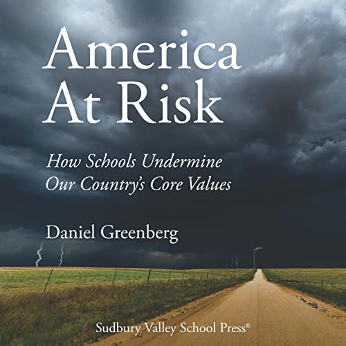 Cover of America at Risk