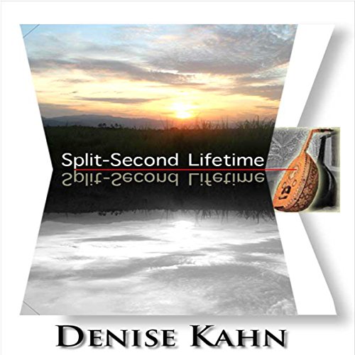 Cover of Split-Second Lifetime