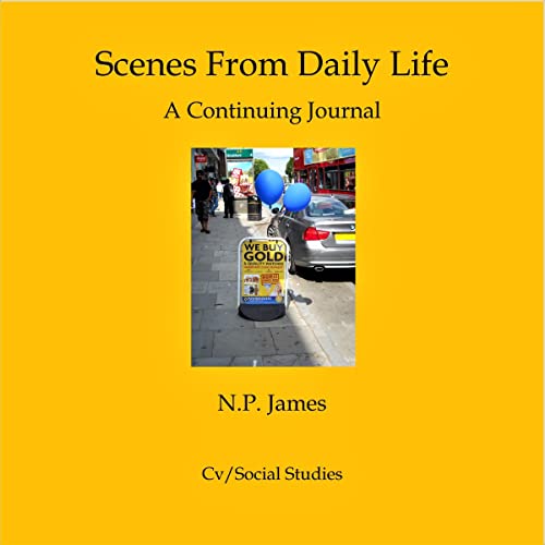 Cover of Scenes from Daily Life