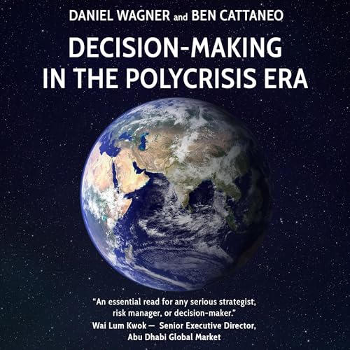 Cover of Decision-Making in the Polycrisis Era