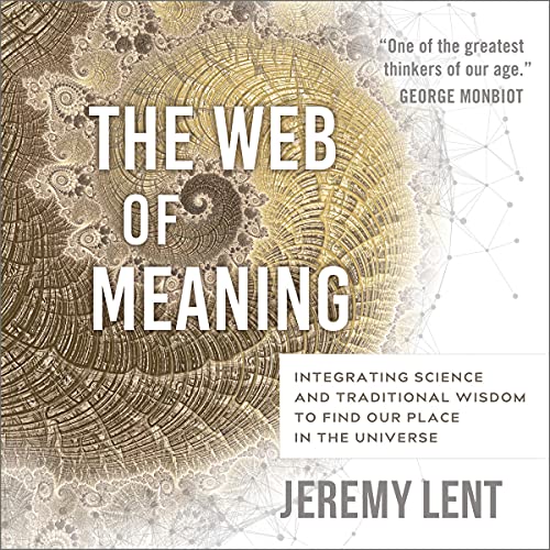 Cover of The Web of Meaning
